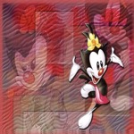 Dot Warner
